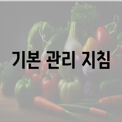 기본 관리 지침