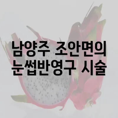 남양주 조안면의 눈썹반영구 시술