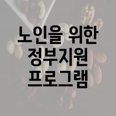 노인을 위한 정부지원 프로그램