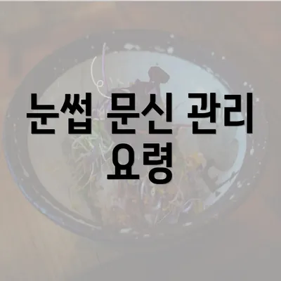 눈썹 문신 관리 요령