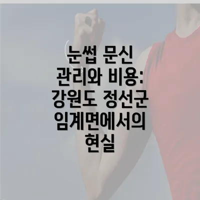 눈썹 문신 관리와 비용: 강원도 정선군 임계면에서의 현실