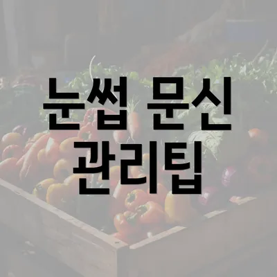 눈썹 문신 관리팁