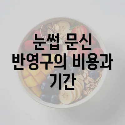 눈썹 문신 반영구의 비용과 기간