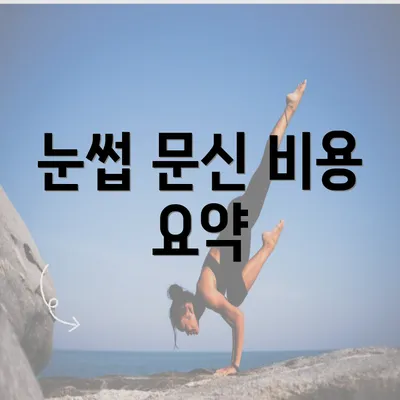 눈썹 문신 비용 요약