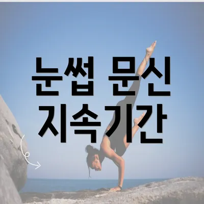 눈썹 문신 지속기간