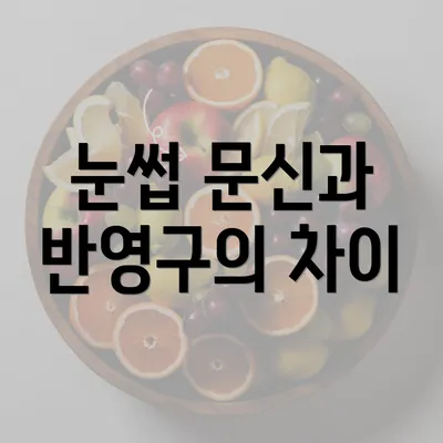 눈썹 문신과 반영구의 차이