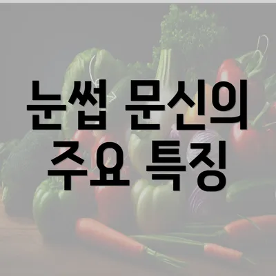 눈썹 문신의 주요 특징