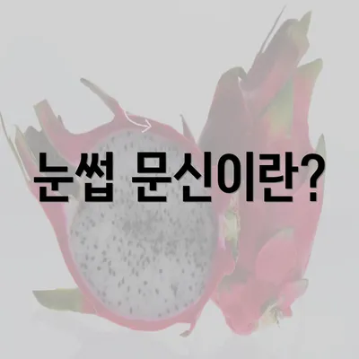 눈썹 문신이란?