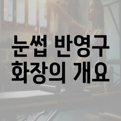 눈썹 반영구 화장의 개요