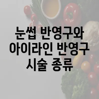 눈썹 반영구와 아이라인 반영구 시술 종류