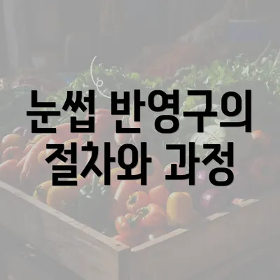 눈썹 반영구의 절차와 과정