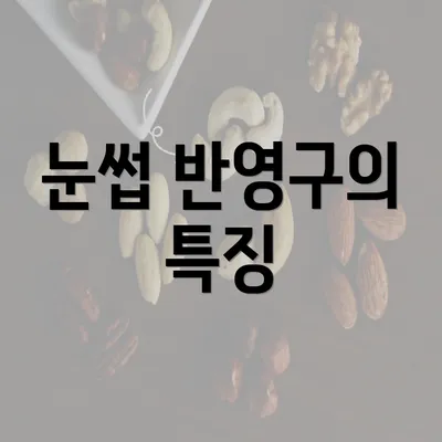 눈썹 반영구의 특징