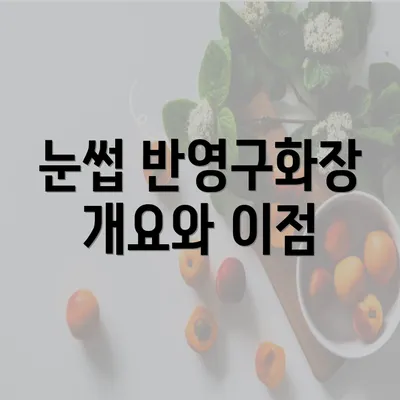 눈썹 반영구화장 개요와 이점