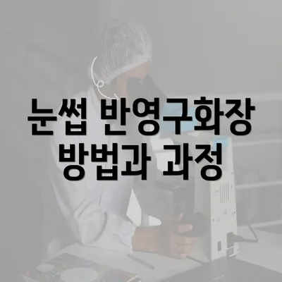 눈썹 반영구화장 방법과 과정