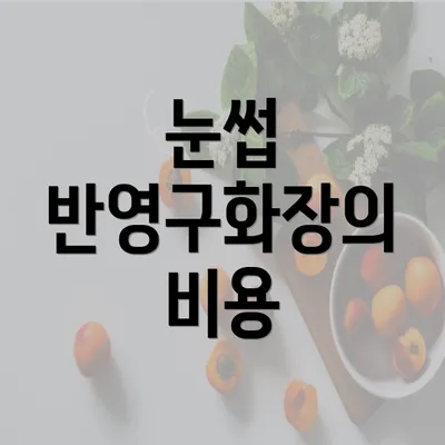 눈썹 반영구화장의 비용