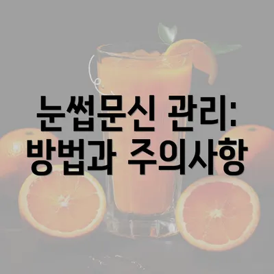 눈썹문신 관리: 방법과 주의사항