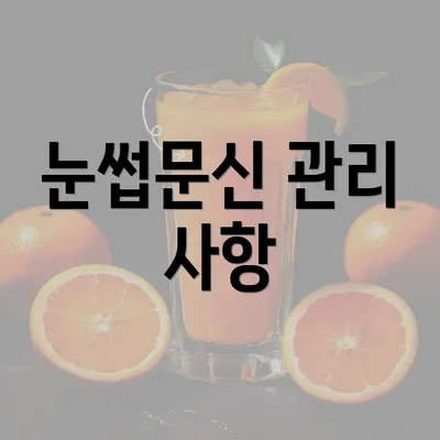 눈썹문신 관리 사항