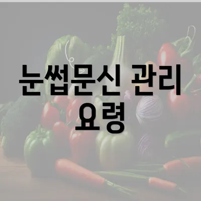 눈썹문신 관리 요령