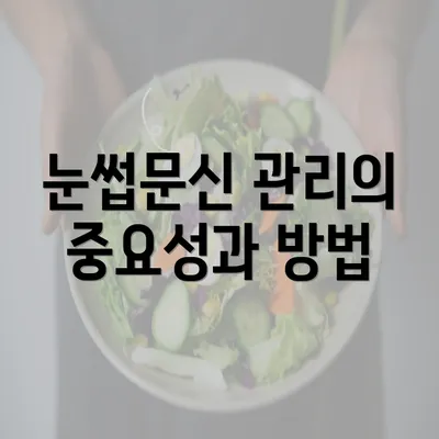 눈썹문신 관리의 중요성과 방법