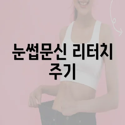 눈썹문신 리터치 주기