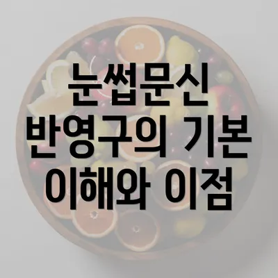 눈썹문신 반영구의 기본 이해와 이점