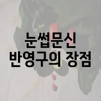 눈썹문신 반영구의 장점