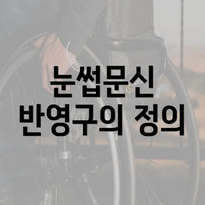 눈썹문신 반영구의 정의