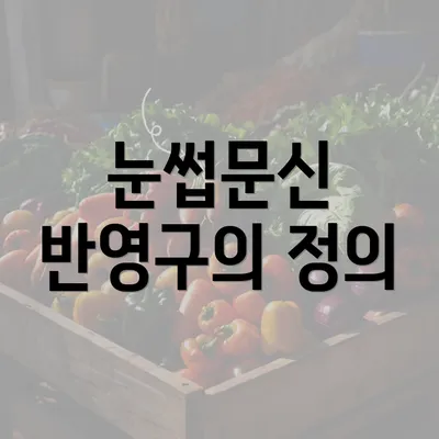 눈썹문신 반영구의 정의