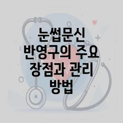 눈썹문신 반영구의 주요 장점과 관리 방법