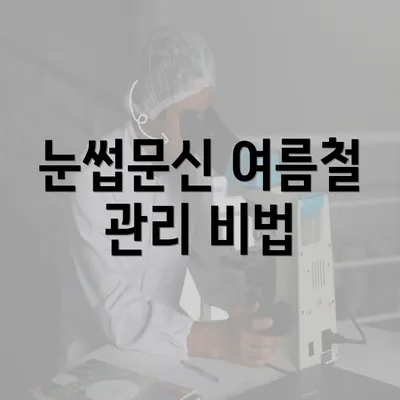 눈썹문신 여름철 관리 비법