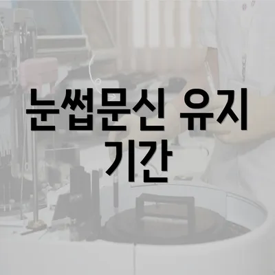 눈썹문신 유지 기간