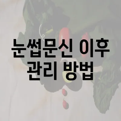 눈썹문신 이후 관리 방법