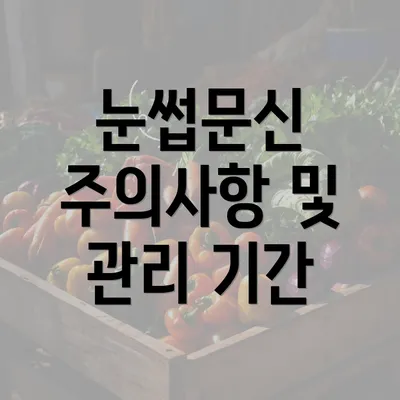 눈썹문신 주의사항 및 관리 기간