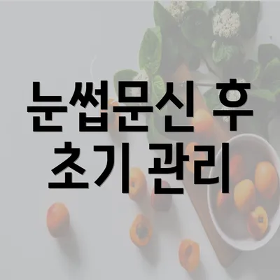 눈썹문신 후 초기 관리