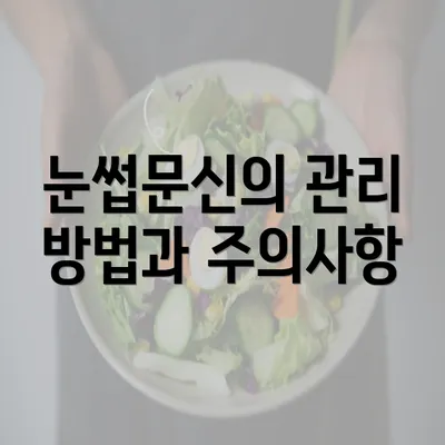 눈썹문신의 관리 방법과 주의사항