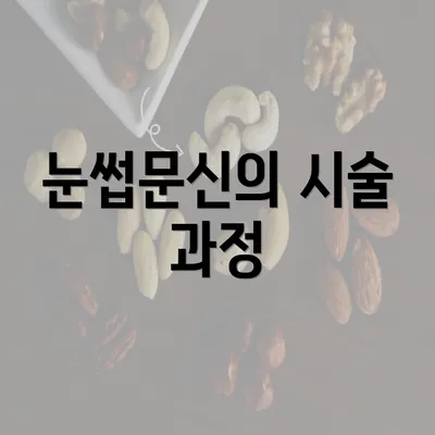 눈썹문신의 시술 과정