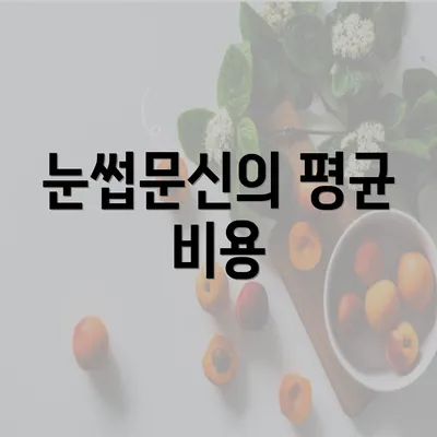 눈썹문신의 평균 비용