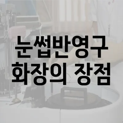 눈썹반영구 화장의 장점