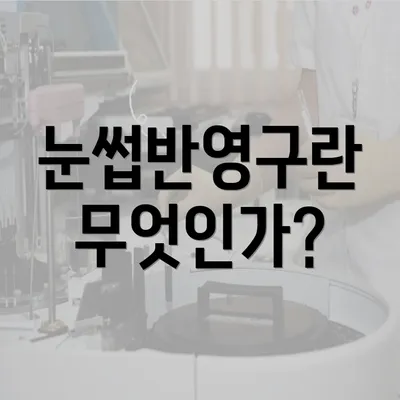 눈썹반영구란 무엇인가?