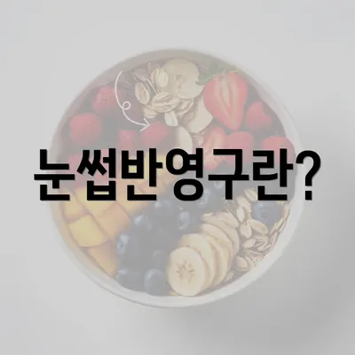 눈썹반영구란?