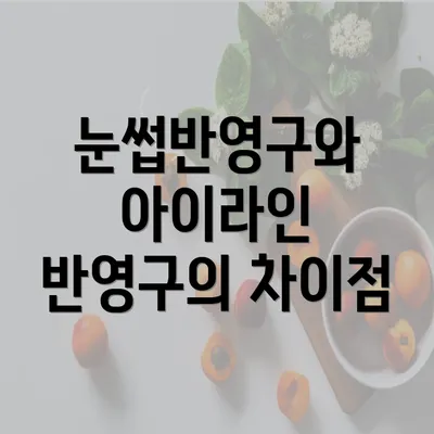 눈썹반영구와 아이라인 반영구의 차이점