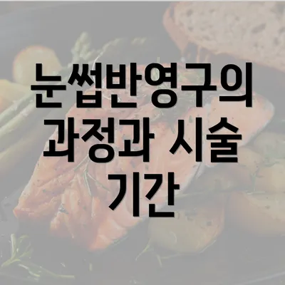 눈썹반영구의 과정과 시술 기간