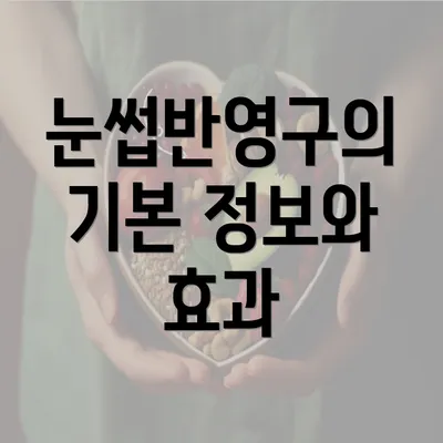 눈썹반영구의 기본 정보와 효과