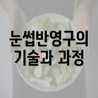 눈썹반영구의 기술과 과정