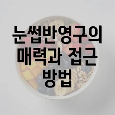 눈썹반영구의 매력과 접근 방법