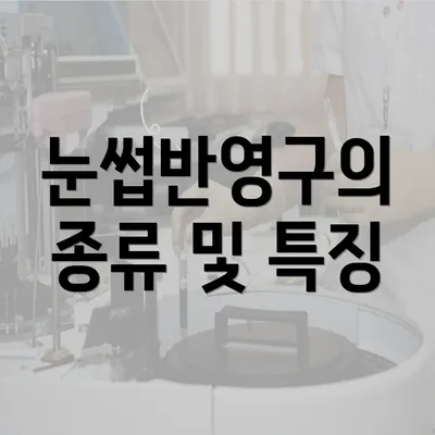 눈썹반영구의 종류 및 특징