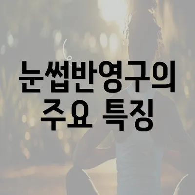 눈썹반영구의 주요 특징