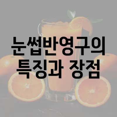 눈썹반영구의 특징과 장점