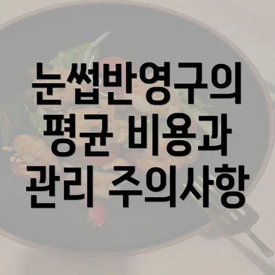 눈썹반영구의 평균 비용과 관리 주의사항