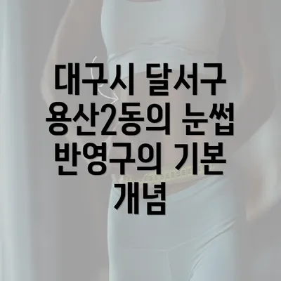 대구시 달서구 용산2동의 눈썹 반영구의 기본 개념